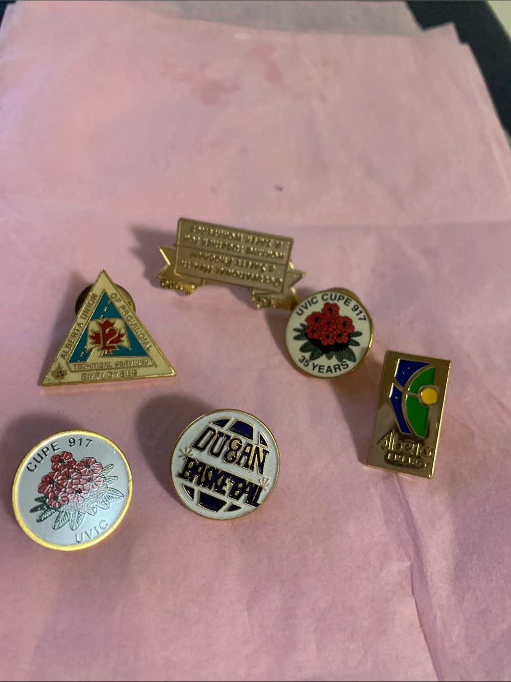 Assorted Enamel Lapel Pins - Gold Tone with Color Accents Phil